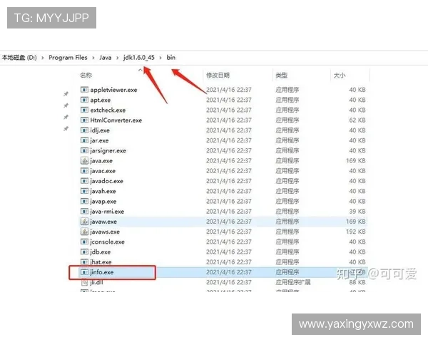 亚星手机登录不上怎么办？详细排查步骤与解决方案推荐